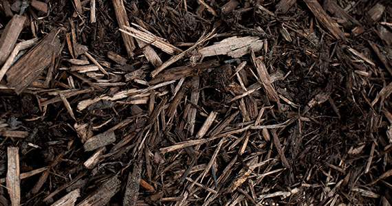 Mocha Brown Mulch